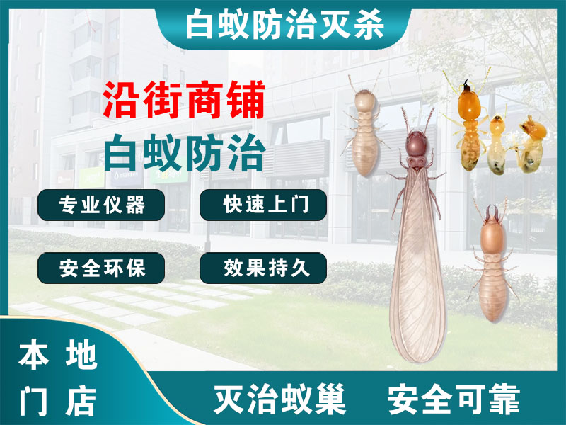 苍南沿街商铺白蚁防治