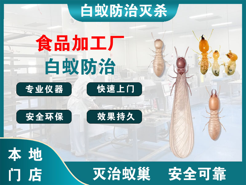 苍南食品加工厂白蚁防治