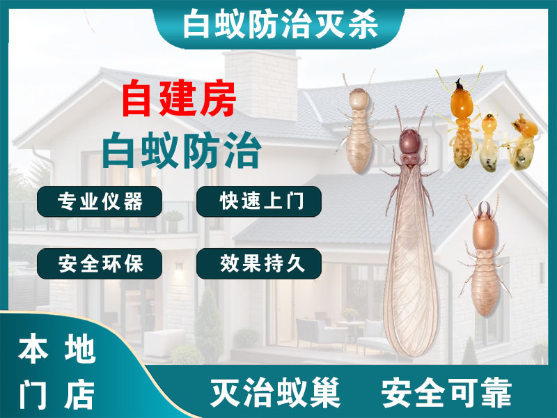 苍南自建房白蚁防治