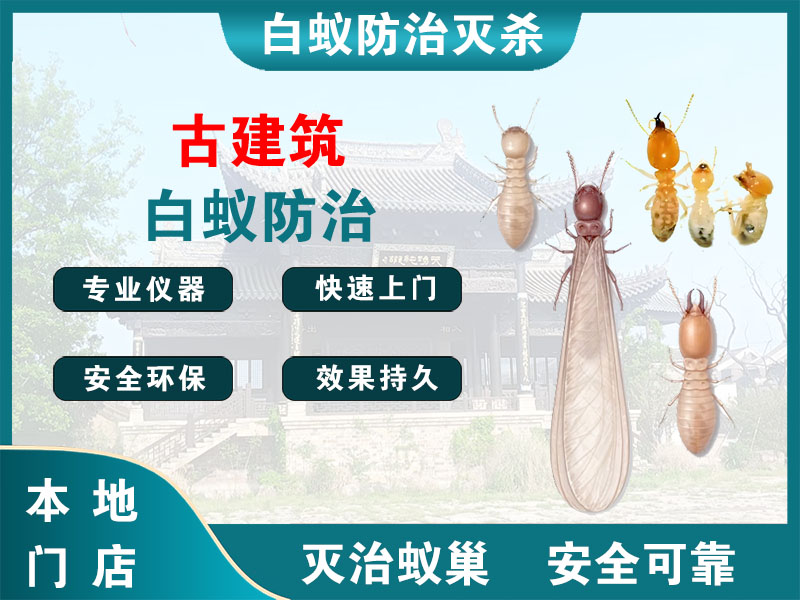 苍南古建筑白蚁防治
