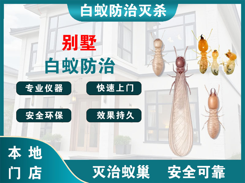 苍南别墅白蚁防治